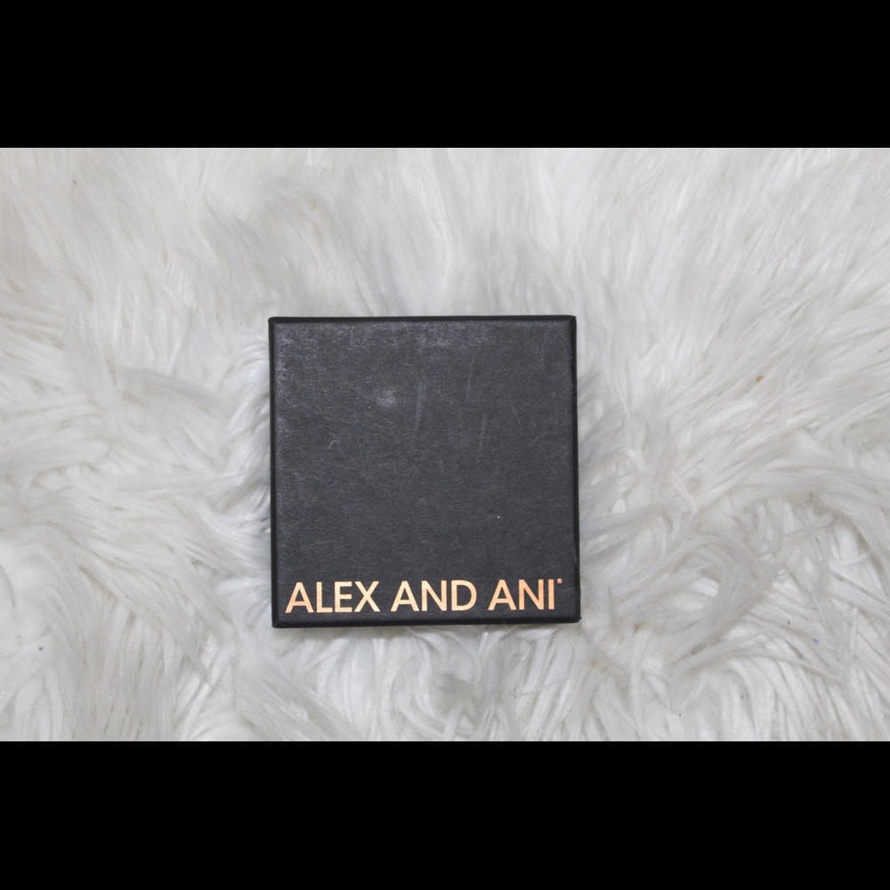 Alex and Ani bracelet ✨